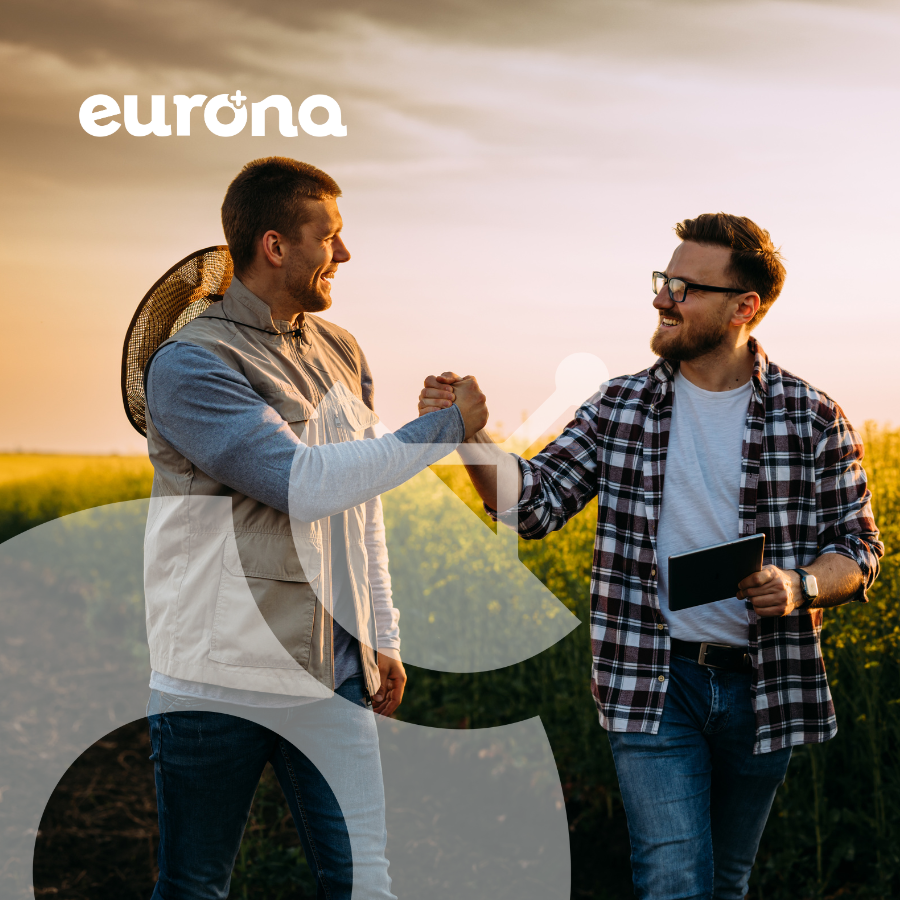 Nuevo Plan Amigo Eurona